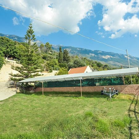 Rosa'S Beach Studios Lourdata (Kefalonia) Exterior foto