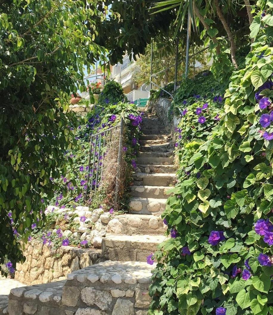 Rosa'S Beach Studios Lourdata (Kefalonia) Exterior foto